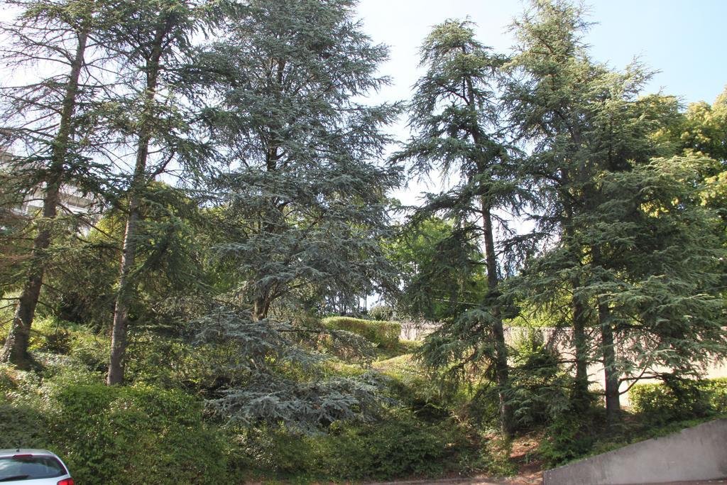 Bed and Breakfast Les Hauts De Perrache Sainte-Foy-lès-Lyon Zewnętrze zdjęcie